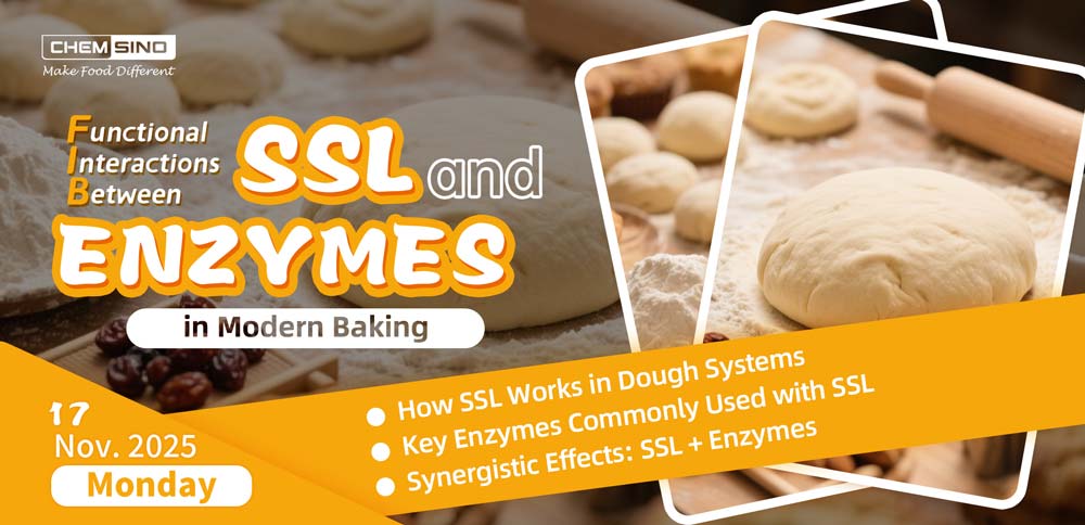 Functional Interactions Between SSL and Enzymes in Modern Baking